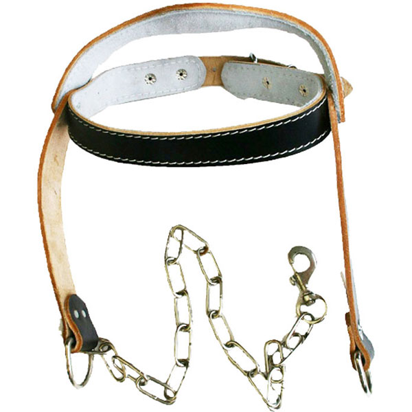 Leather Head Harness